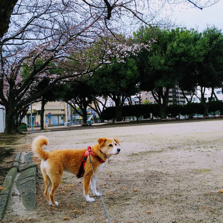 A0461c3a 5a76 45ec 98f5 ad27a4878566 1553734208051