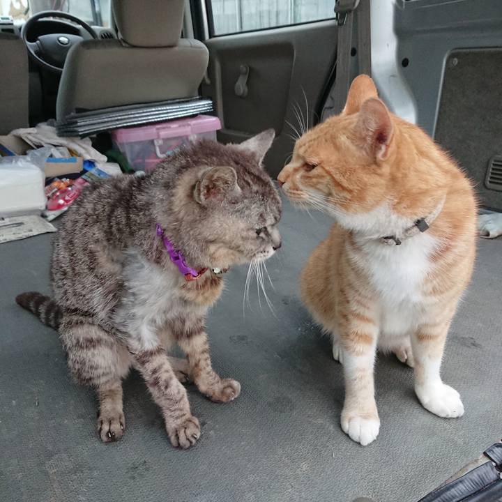 A04640ca b358 4b54 bc22 b24fad644d75 1594586723533