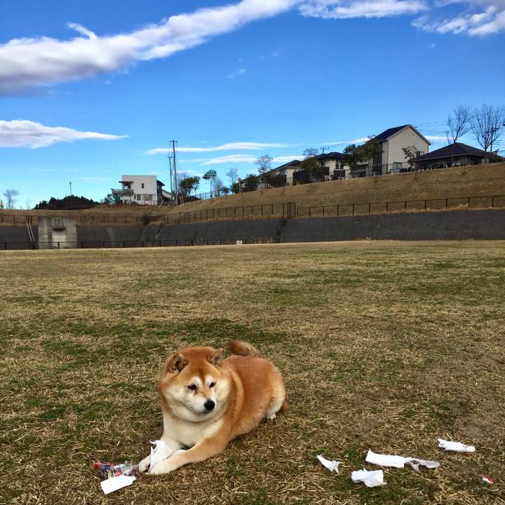 A0464102 08a1 4bcb 89df 910670655d0a 1581891267277