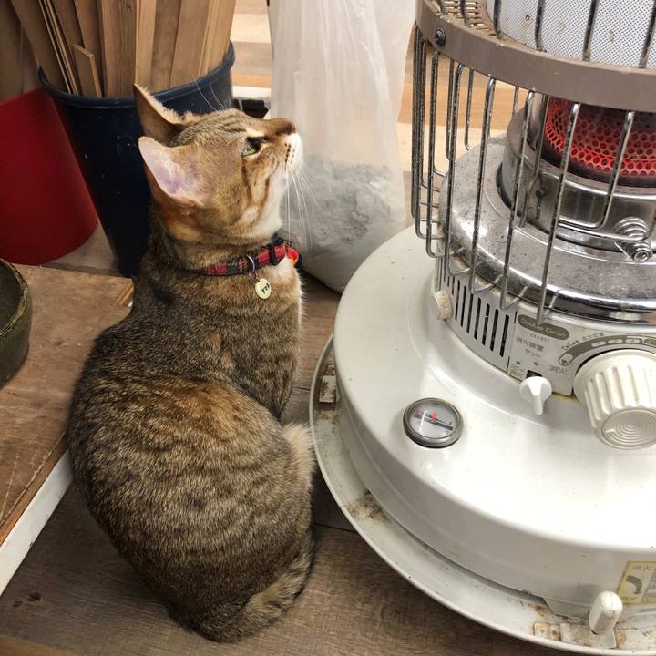 A0466a8b bd64 491a ac9a c08e5f6c7d7b 1642079038267