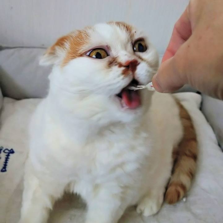 A0468898 28d2 4820 a2ab 894ec7436ea8 1768360482536