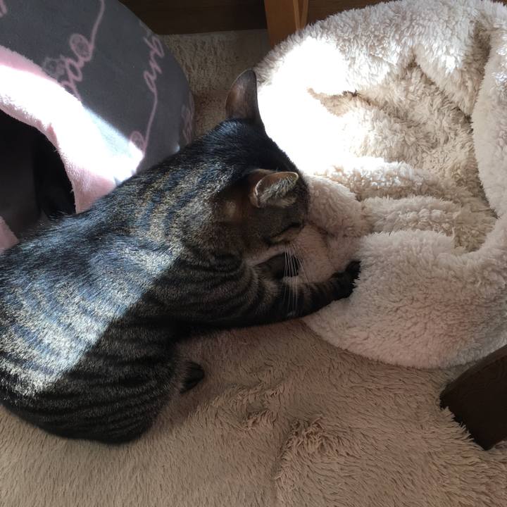 A0469355 453c 46a0 86e6 5b2cbe2e15f3 1514368057116