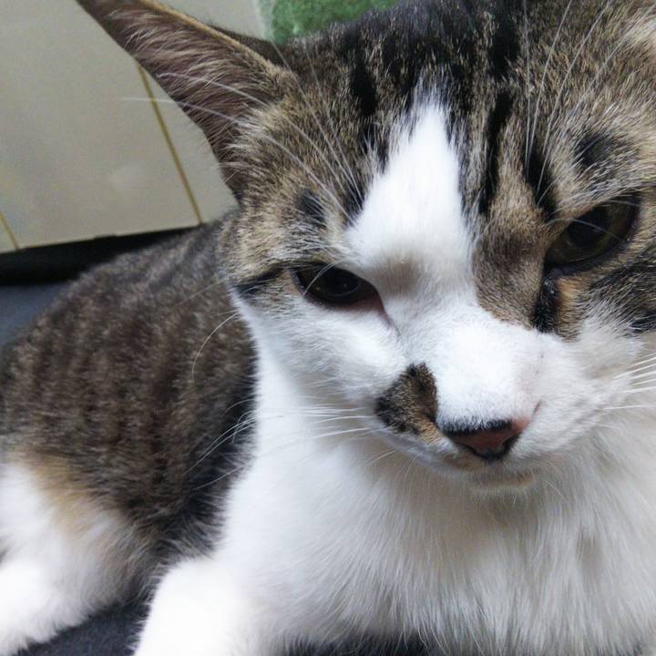 A046add7 c8d7 442b bfa7 33205e102cd1 1646564227367