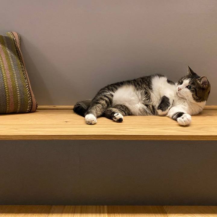 A046cdfc 4cc5 4668 a519 f07b6427bb7b 1716966734960