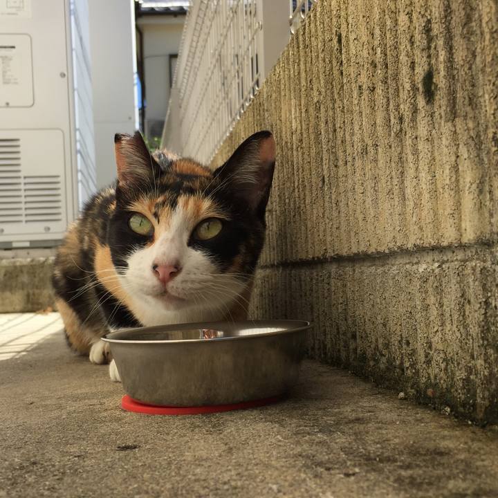 A0471a18 6b3f 4fbc 88de ecd49fe7f879 1538357162002