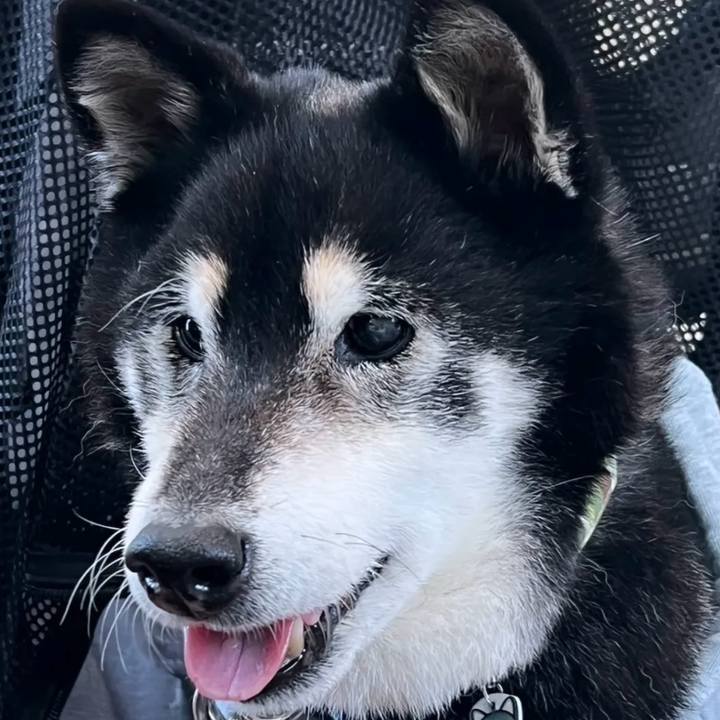 A0472c07 eabd 4242 a0ec 52b1239a061b 1768863435144