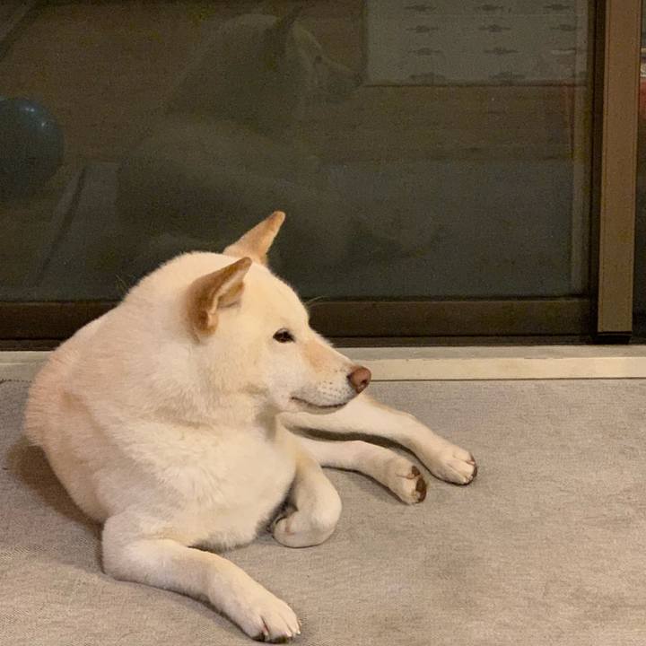 A0473c2e 1d61 4911 9163 493b84be3564 1555506427649