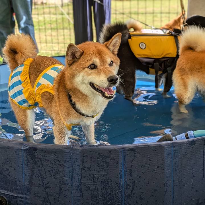 A047a51b 0fa6 4335 9c92 45aa31d67de6 1722849620730