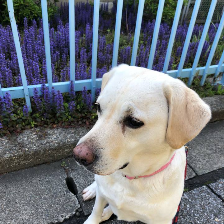 A047ba0c c20b 483e 914c 28fe9123cf23 1587994167037