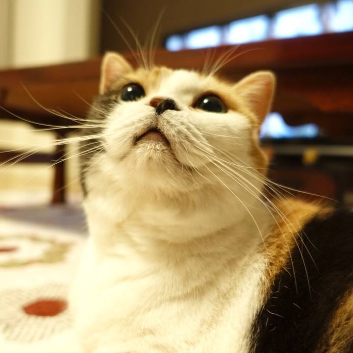 A047be5a 5c70 43ee ae0e 7809d9b85e1f 1553615247604