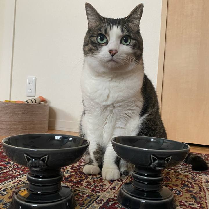 A047cf95 674b 482f 865b 00e9b1a3d6c8 1679796769141