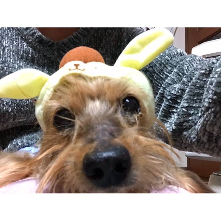 A047e45a 1526 4a90 8ab4 d2c90ddbe741 1736513552256