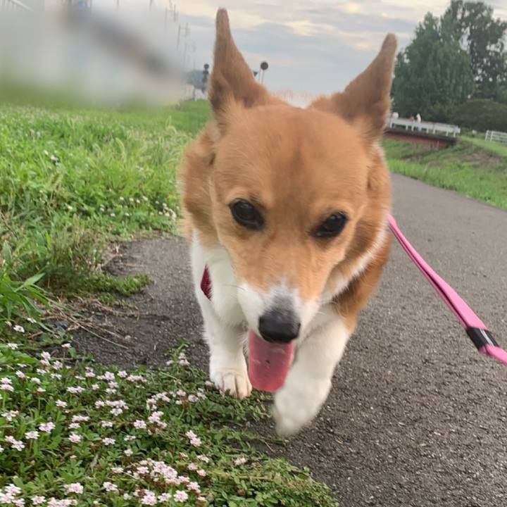 A047f01f 90c3 4adf 93ef 93fbe4a3547c 1689412461281