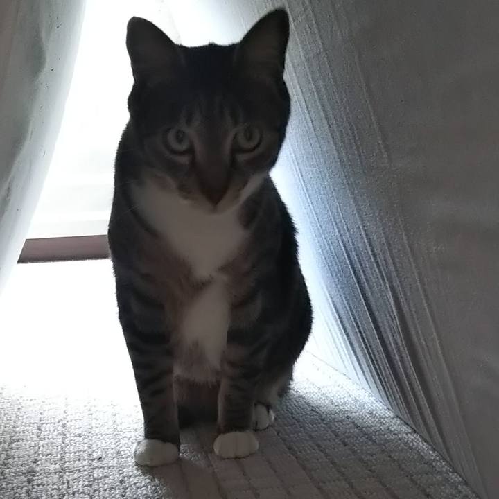 A04801c1 09a4 4996 a893 9919f6f62147 1604409308625