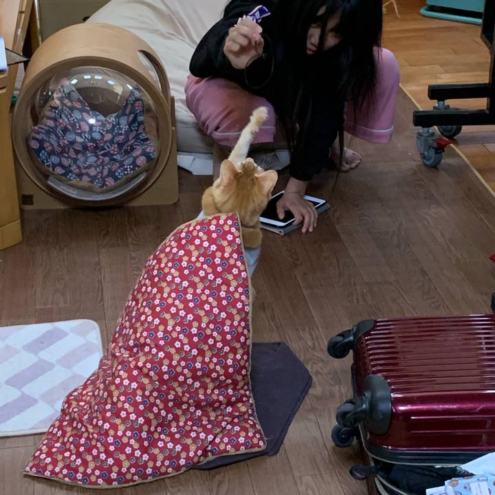 A04832fc f7b9 44dd 8efe 65832b8ea63b 1615760293928