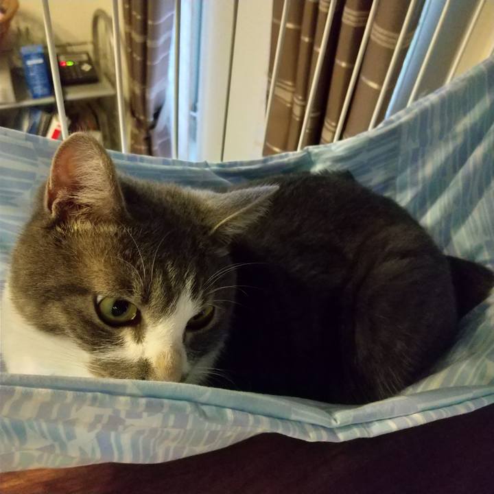 A0483f12 8932 44fc 87c6 555213e3faf5 1601104624930