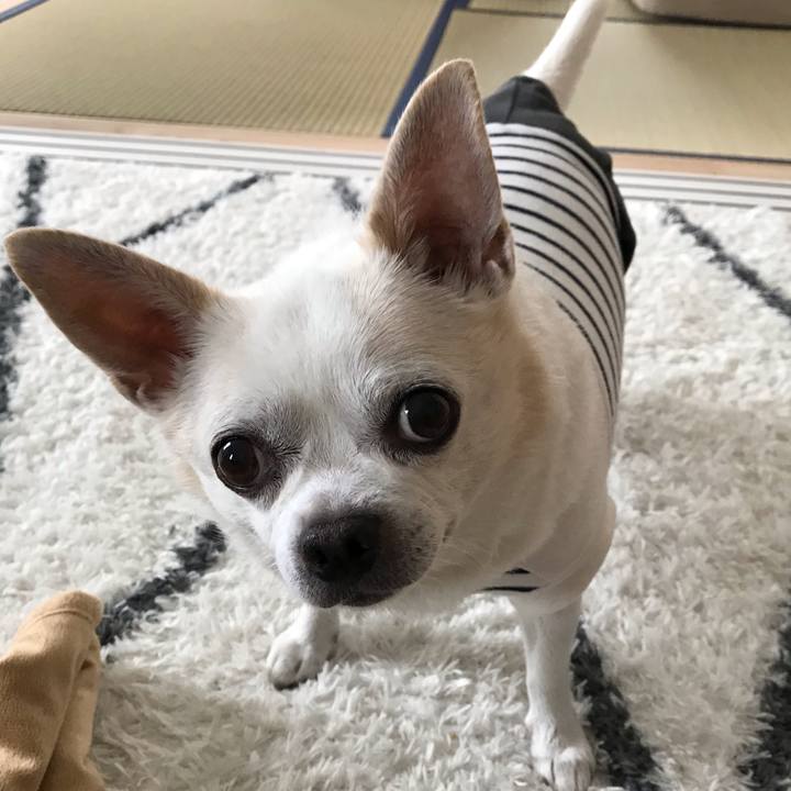 A04894a8 2d63 4f39 89e4 3513934790c6 1583239025349