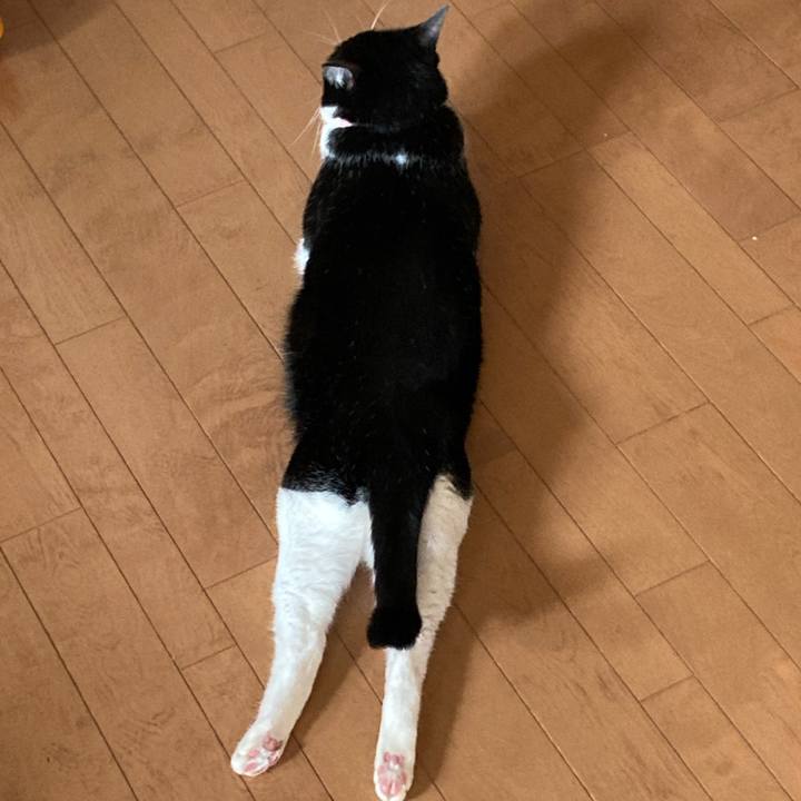 A0489e50 2fd1 41d0 ac85 e37de89ebc55 1658042377153