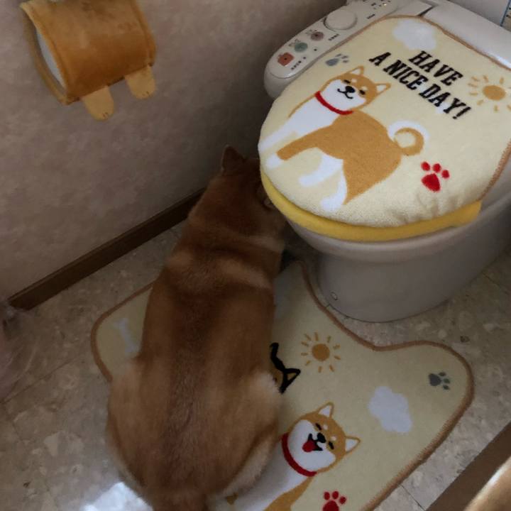 A048a96f b7f0 48e3 81bd 1ffcb6dfe4cb 1566465970987