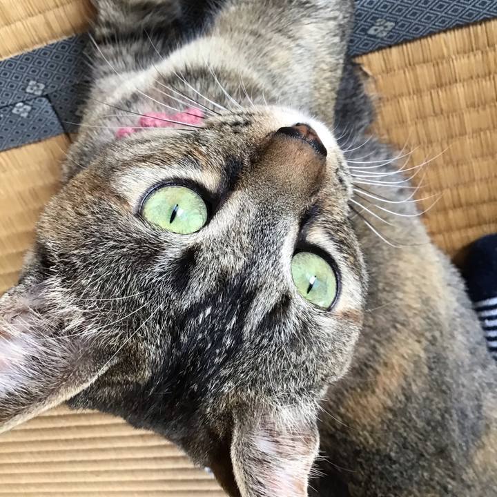 A048b3de 04ea 4c34 bf4d b023e79fc2b1 1588653292550