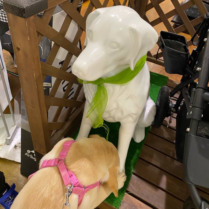 A048e90b 0ff6 4e3c 962e d5550ab6a62f 1615000285430