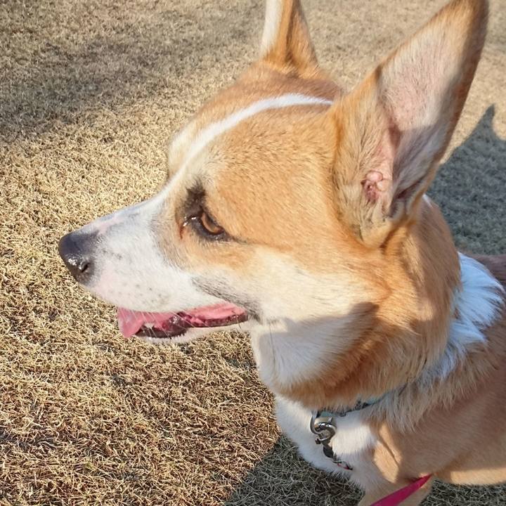 A048ffc9 0740 434d 8733 33b24226a563 1608512397879