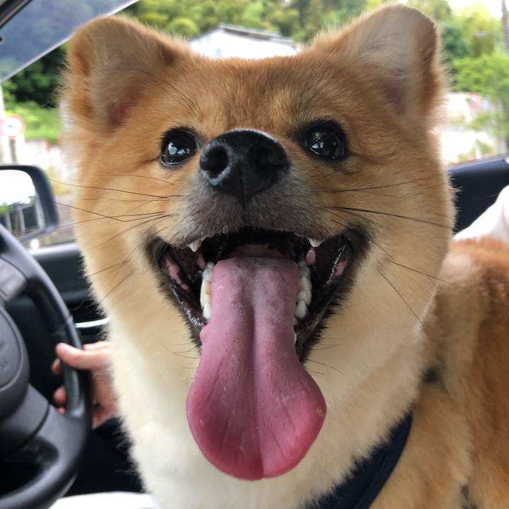 A0490825 dc07 49aa a6cc c46c4f3b7ba9 1592641991435