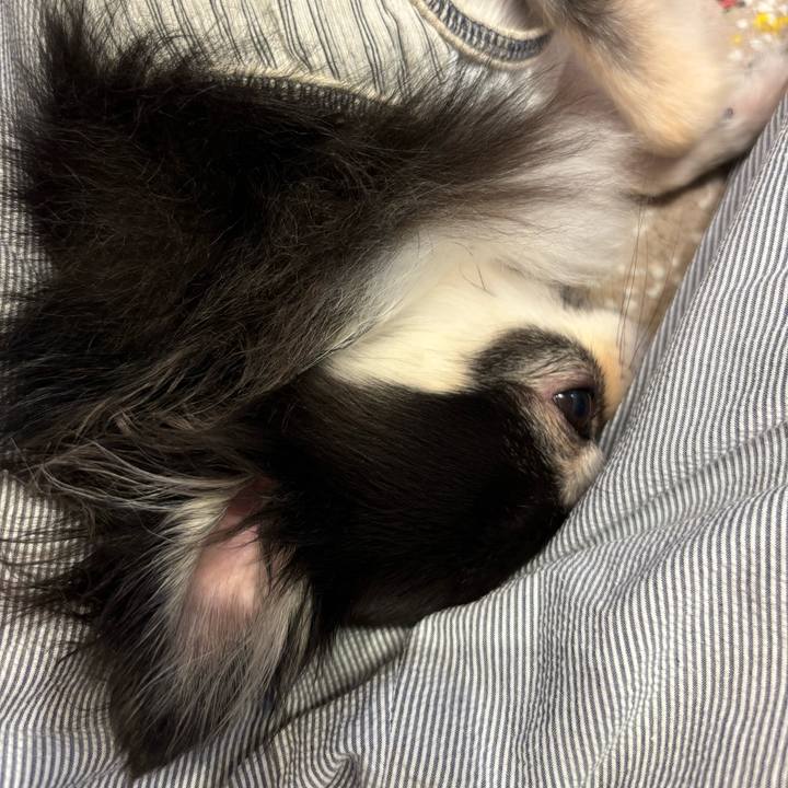 A04944e3 4ff2 4dd7 b78e 98b40b85479b 1723824085843