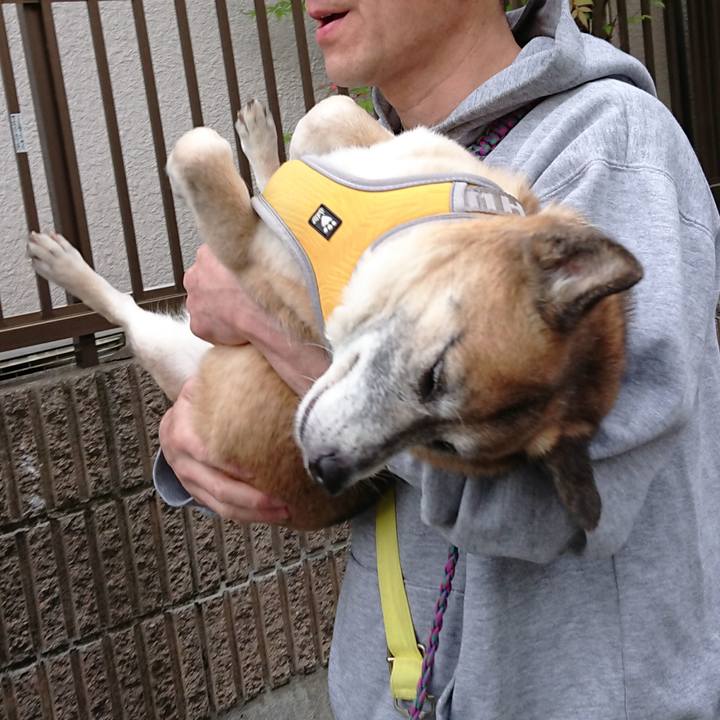 A0496be4 097d 455f 818c 3783c41aae5d 1526374882662