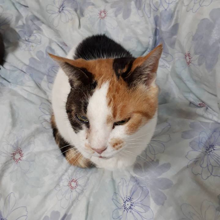 A0496c7a fb37 4c0e b043 dfb532f8eca2 1581731270778