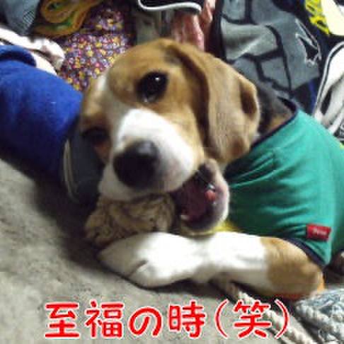 A04982a3 5d70 4aec 9111 2233da3af61d 1701036254663