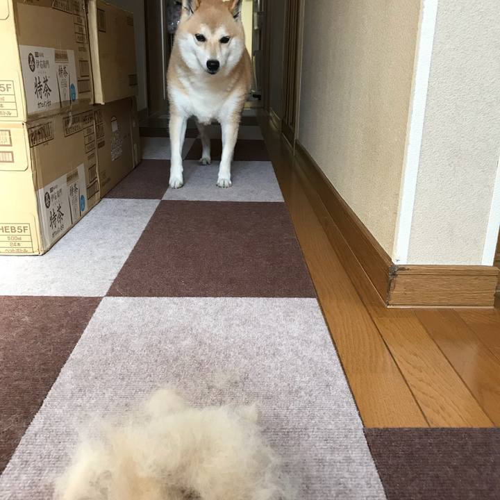 A049927c 6156 45c4 a7be 29a429ddf5f1 1531655531319