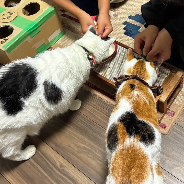 A049ac54 1d2b 4b20 b5a6 2059a73b8c0b 1761102567778