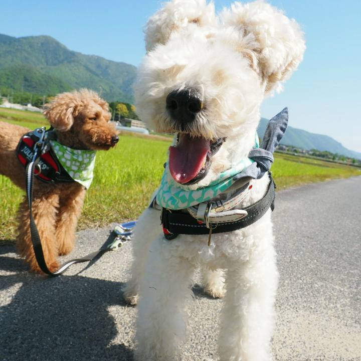 A049d0c7 3535 495a bfc4 2465a008b6e3 1525488123893