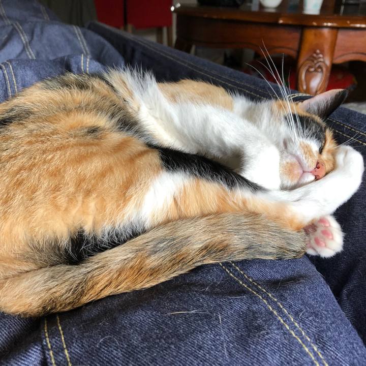 A049e455 c5eb 404e b3c8 b77c3f06a891 1528422278296