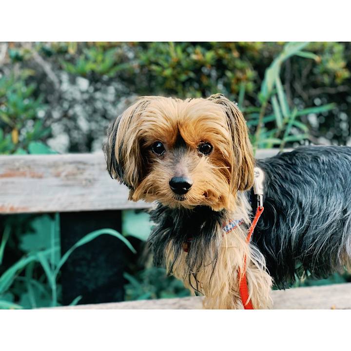 A04a303b ce43 45b0 94b1 15e591158358 1565384965348