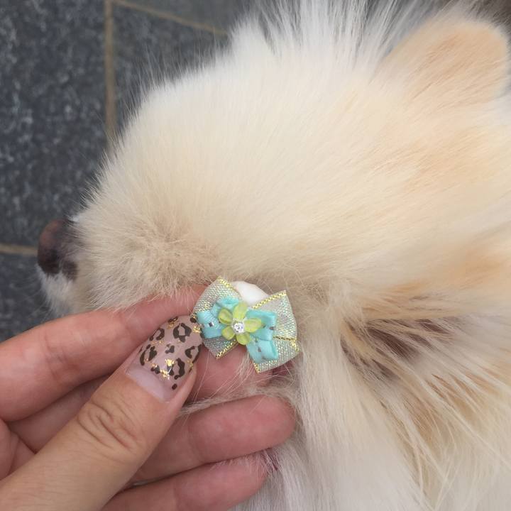 A04a4475 35fd 4146 b838 dda329a69d90 1601266634457