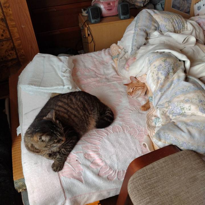 A04a82fa 7cf8 49df 9b1b 0e6963fbc8f2 1687211415259