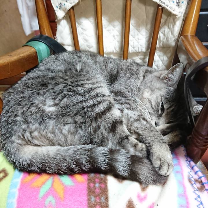 A04a86c1 3bbe 4c42 a2fa 311649ec0a9e 1578138229401