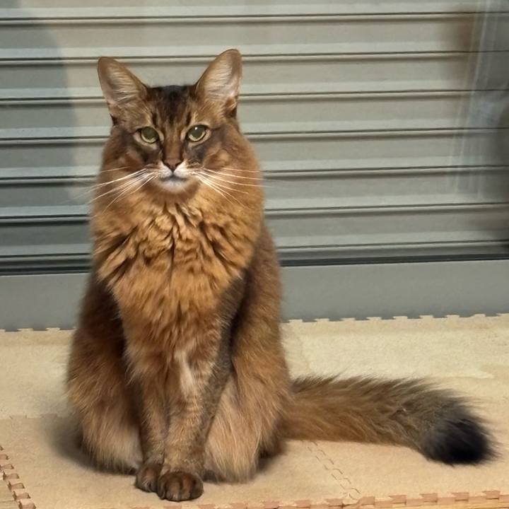 A04aa0ae 3107 428e 8083 342a5e558952 1763021763727