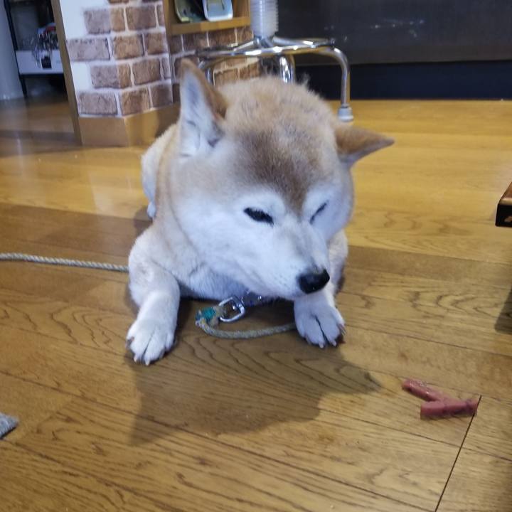 A04aab7e c127 4cc2 9567 33529dea4d83 1687820947457