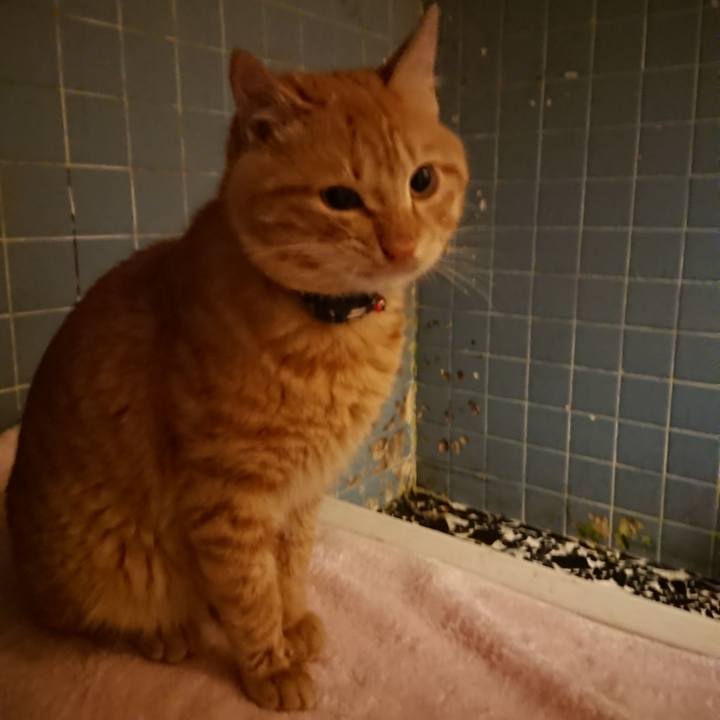 A04acc7b 0ac7 4035 9e2b 32d6bdc96904 1641205848198