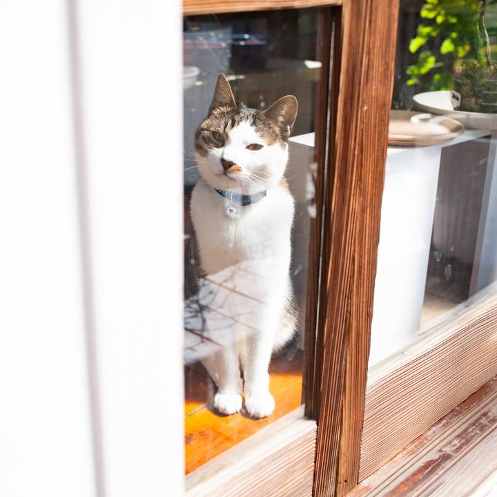 A04accbc 2c93 4e97 bdc9 eb9543b63a23 1553050240960