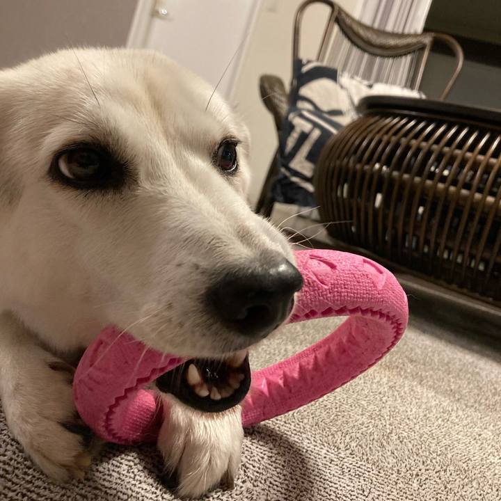 A04afce9 e3b1 4e5d 9114 8d21ec8ebb90 1628344319120