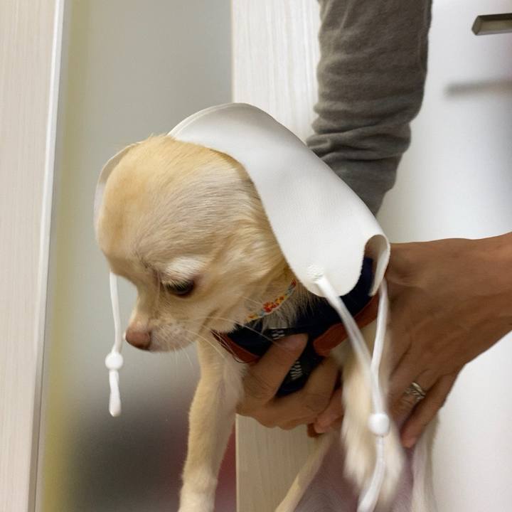 A04b0892 b300 4617 abbb f420810fa64e 1605612394818