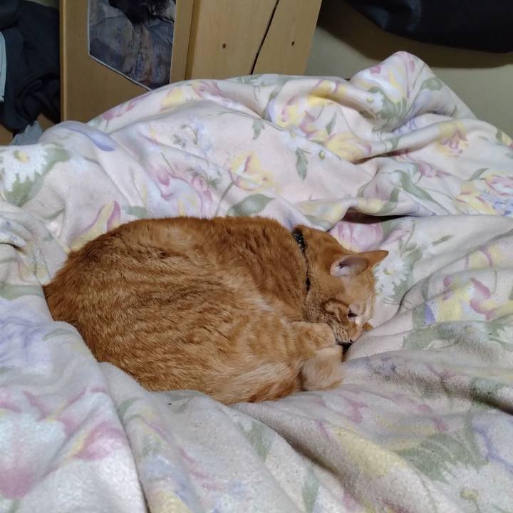 A04b36cf 4f28 4157 a1e5 20f113215d67 1675081655305