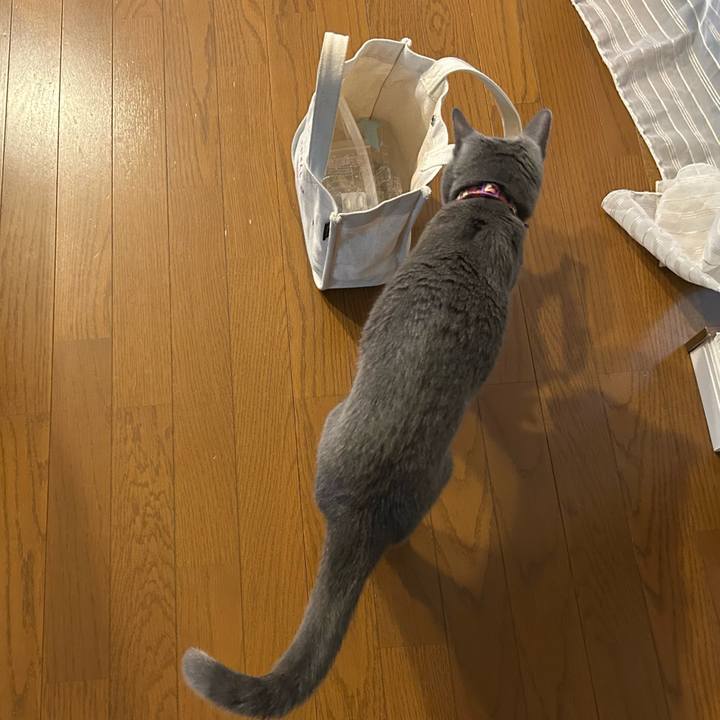 A04b56ab 805c 4fd8 aff5 be0c43a8bd73 1756944301006