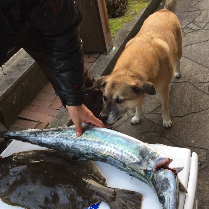 A04b6d48 a47d 49ab bea3 34907c0b99d4 1516437198083