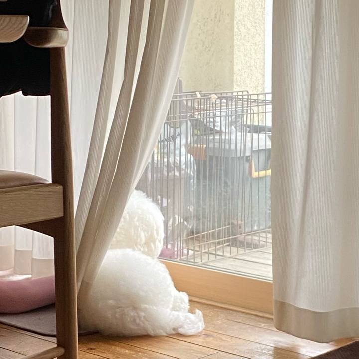 A04b7044 d95a 4456 95f3 c27be9af25ef 1621228577363