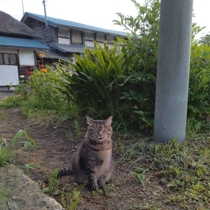 A04b9c49 a1de 4095 a551 fa4efac0b0e5 1690064298545